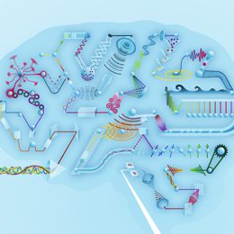 Decorative image showing graphical depiction of neural networks.