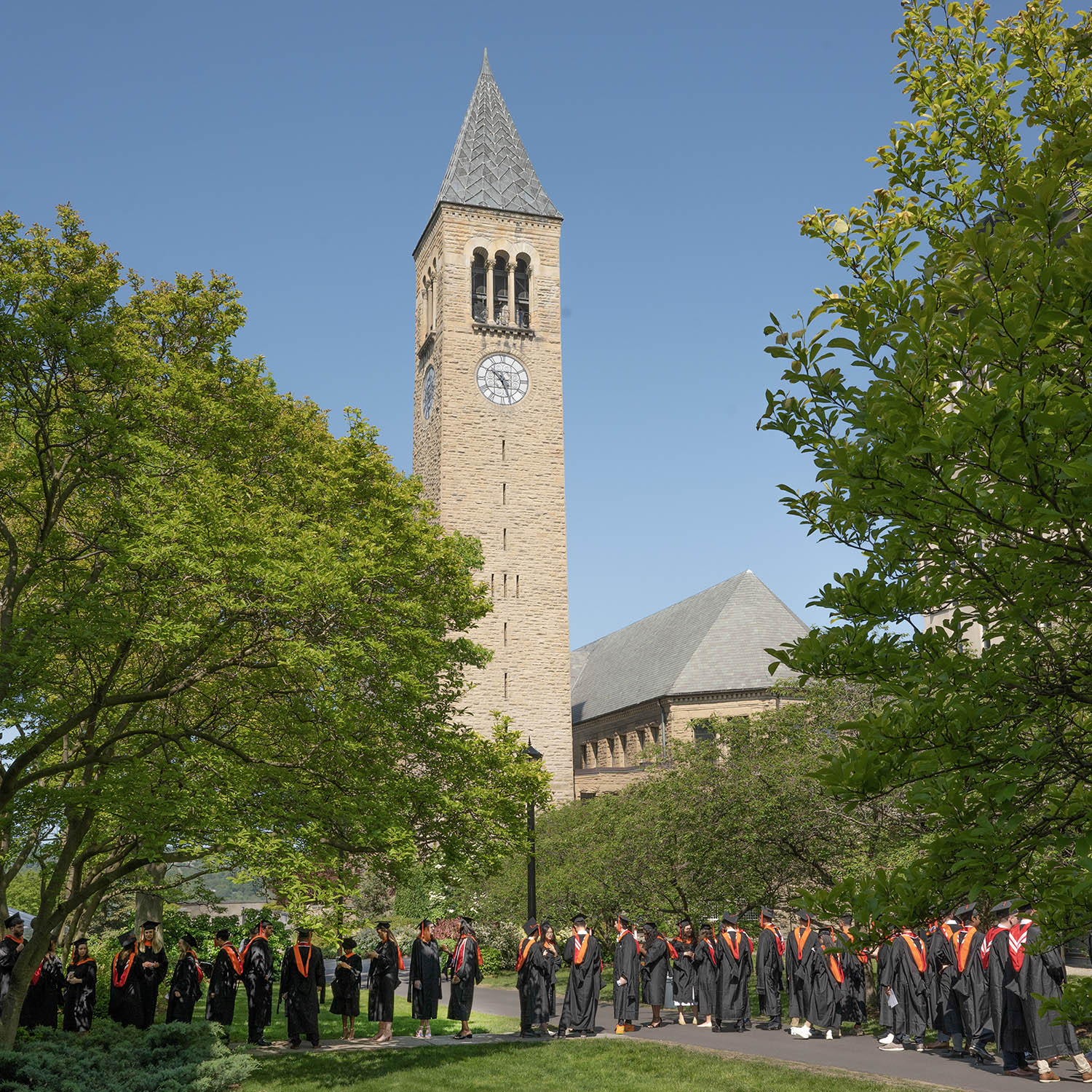 The Cornell bell tower is the focus of the photos with a line of Cornell graduating students stands in the foreground.
