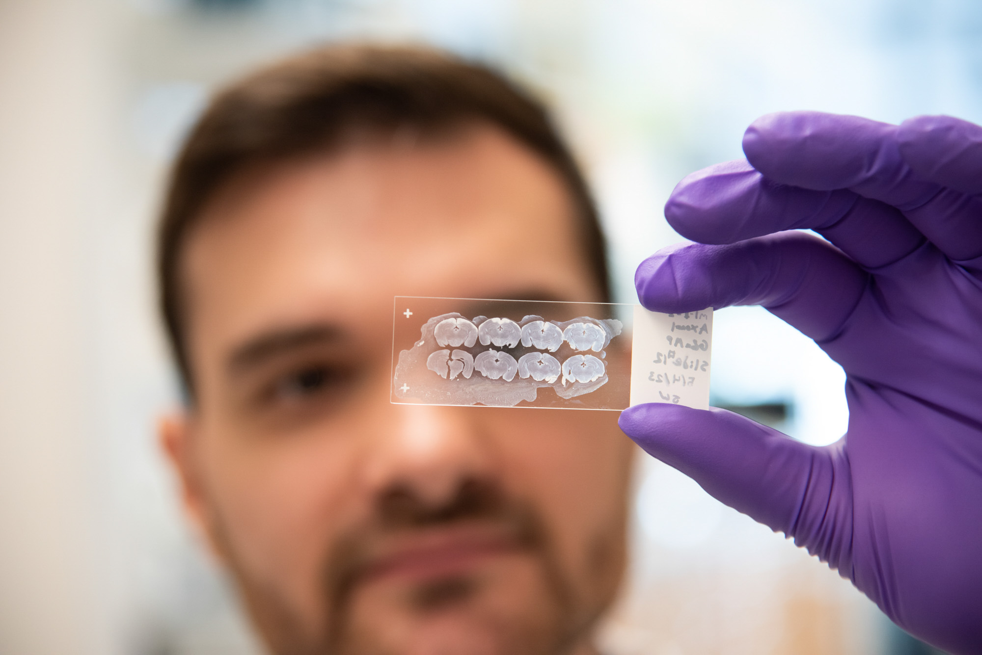 Student in lab holds sample slide in gloved hand.