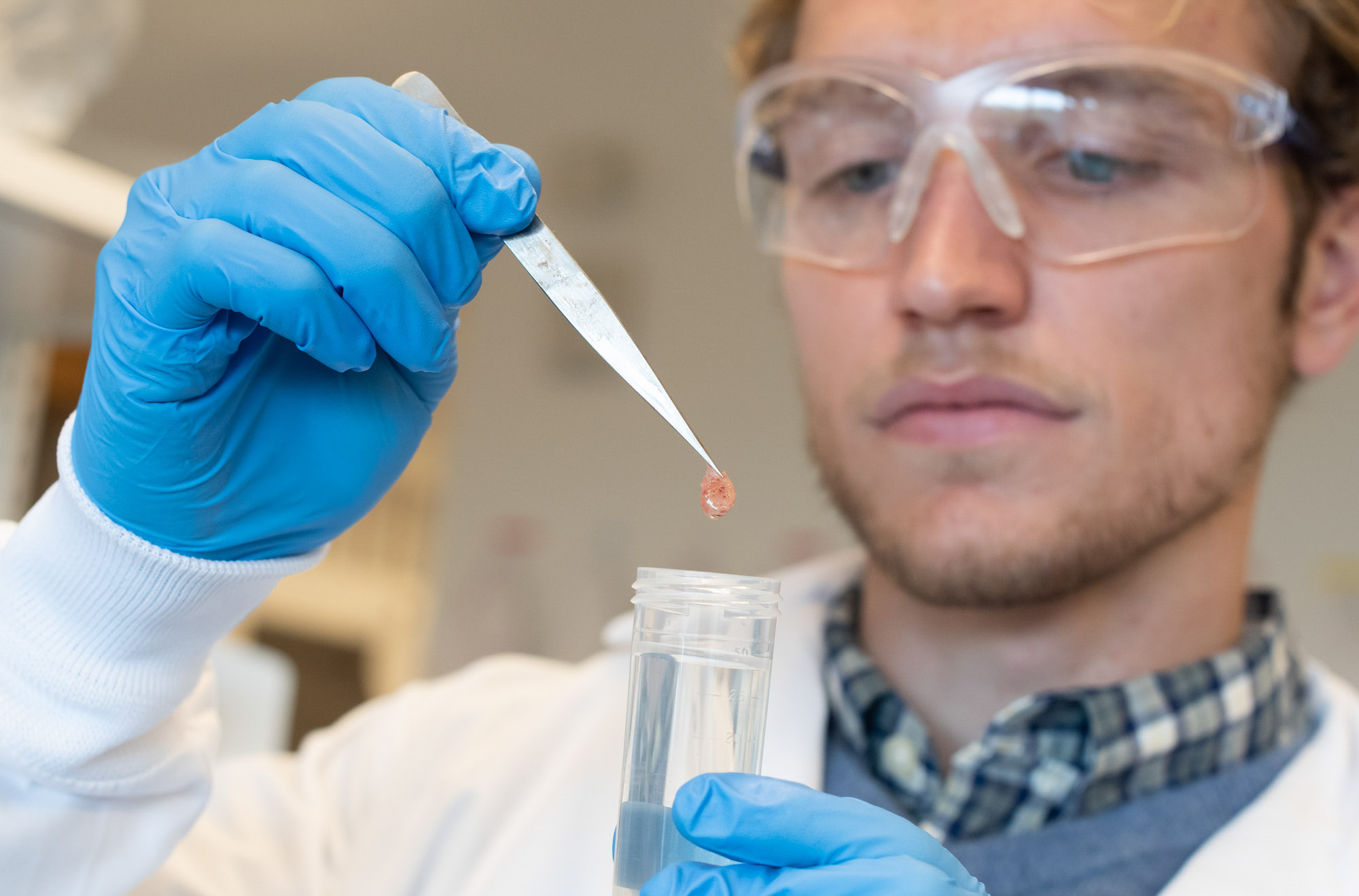 Student holds tissue sample in tweezers above test tube in Weill Hall lab.