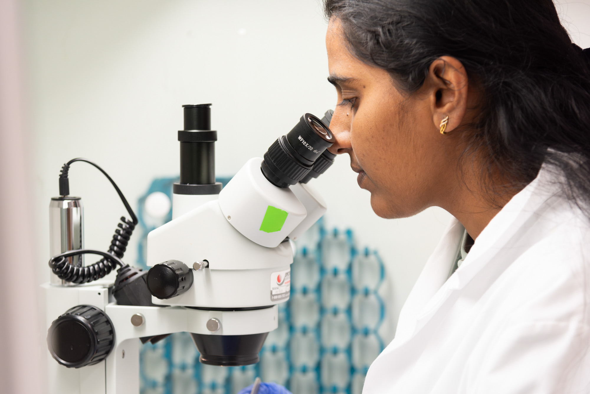 A researcher wearing a white lab coat and blue gloves looks through a microscope in the Butcher lab.
