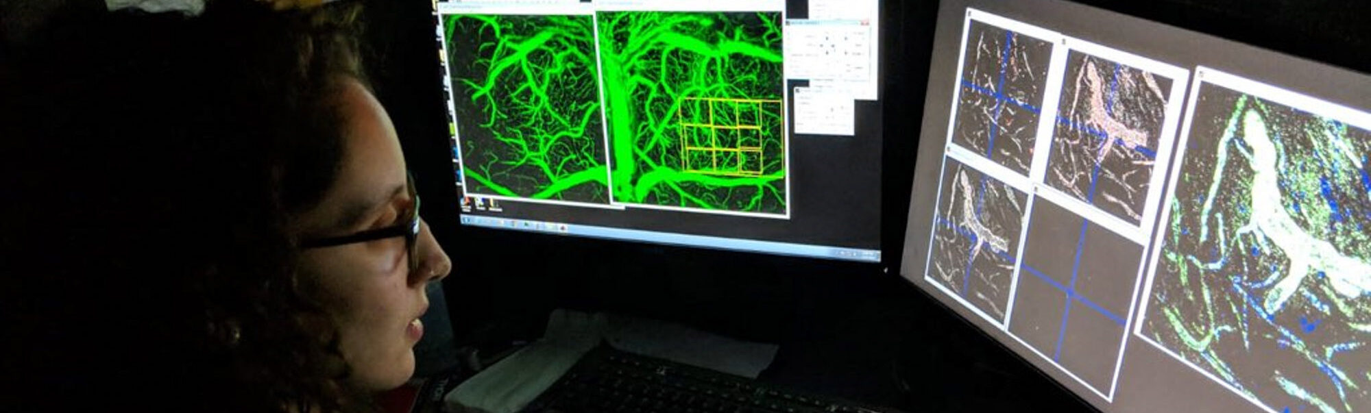 A student sits in the dark at a desk looking at two computer screens in the Schaffer-Nishimura lab.