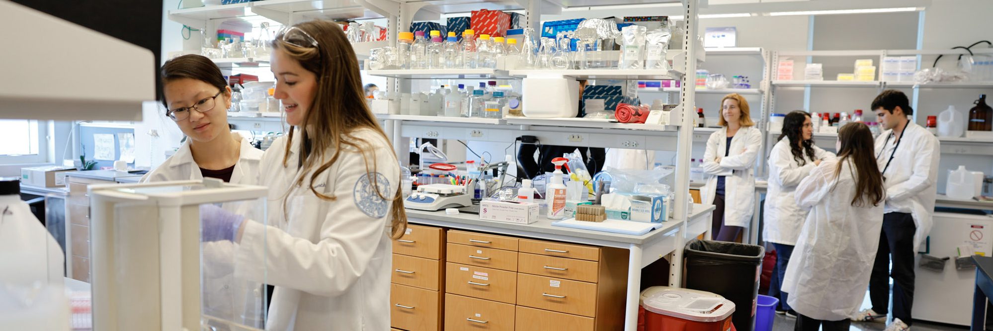 Student work in The Lewis Lab