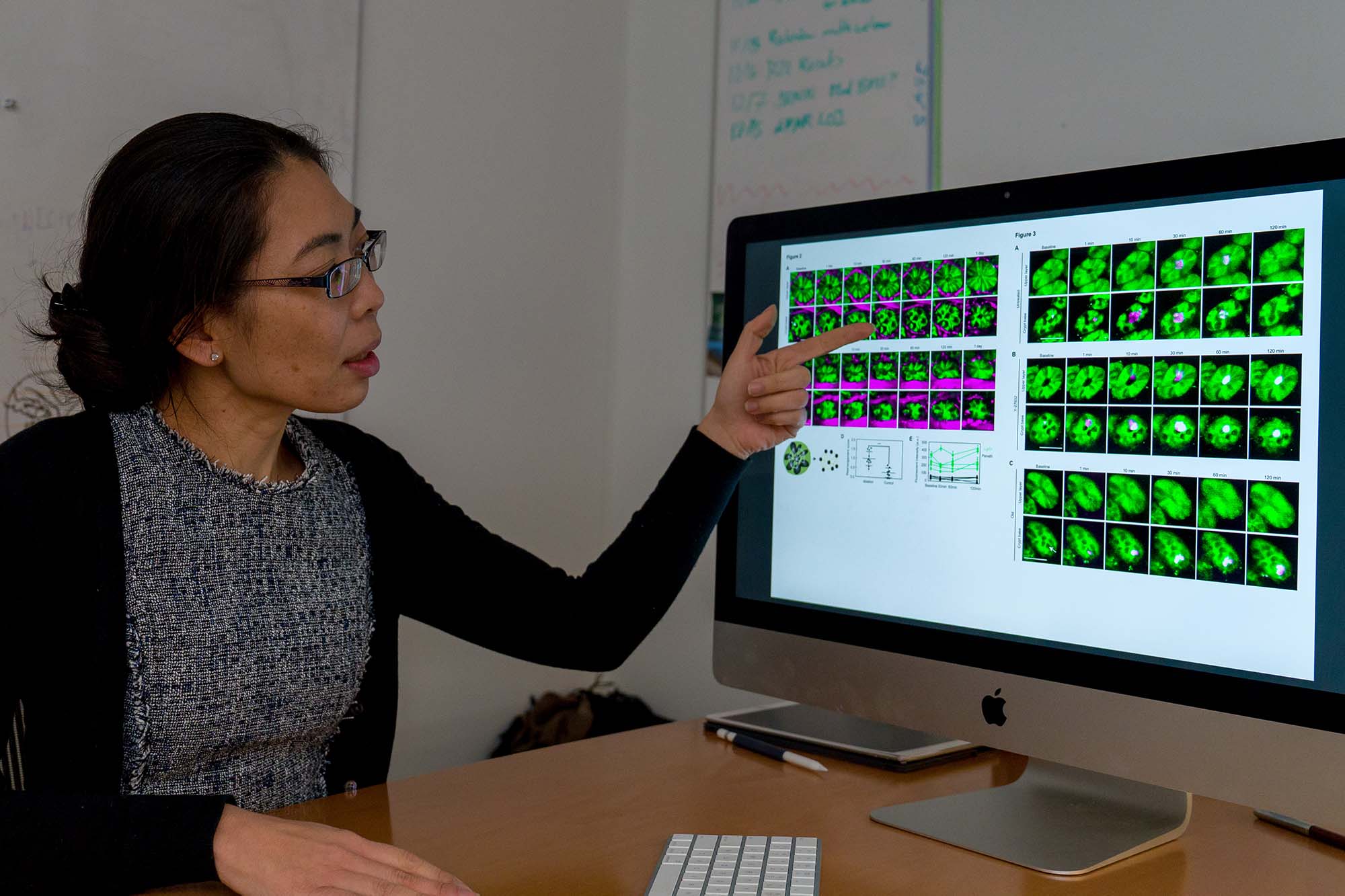 Nozomi Nishimura looks at cancer research on computer monitor.