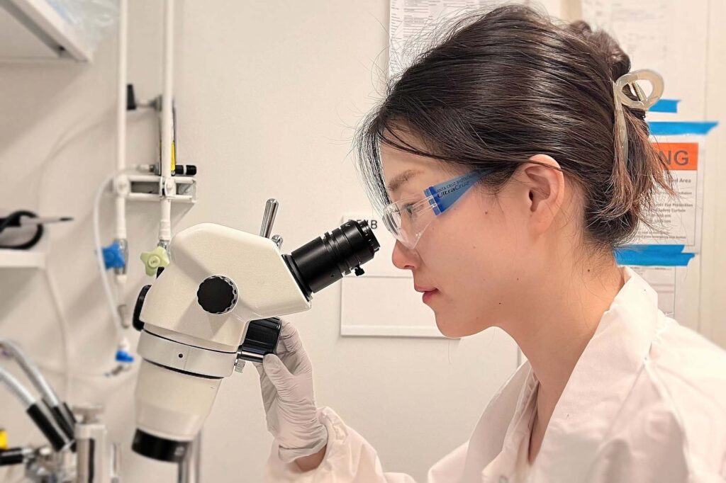 Kwan lab postdoc Lingxiao Shao wears safety glasses and lab coat in lab looking into microscope.
