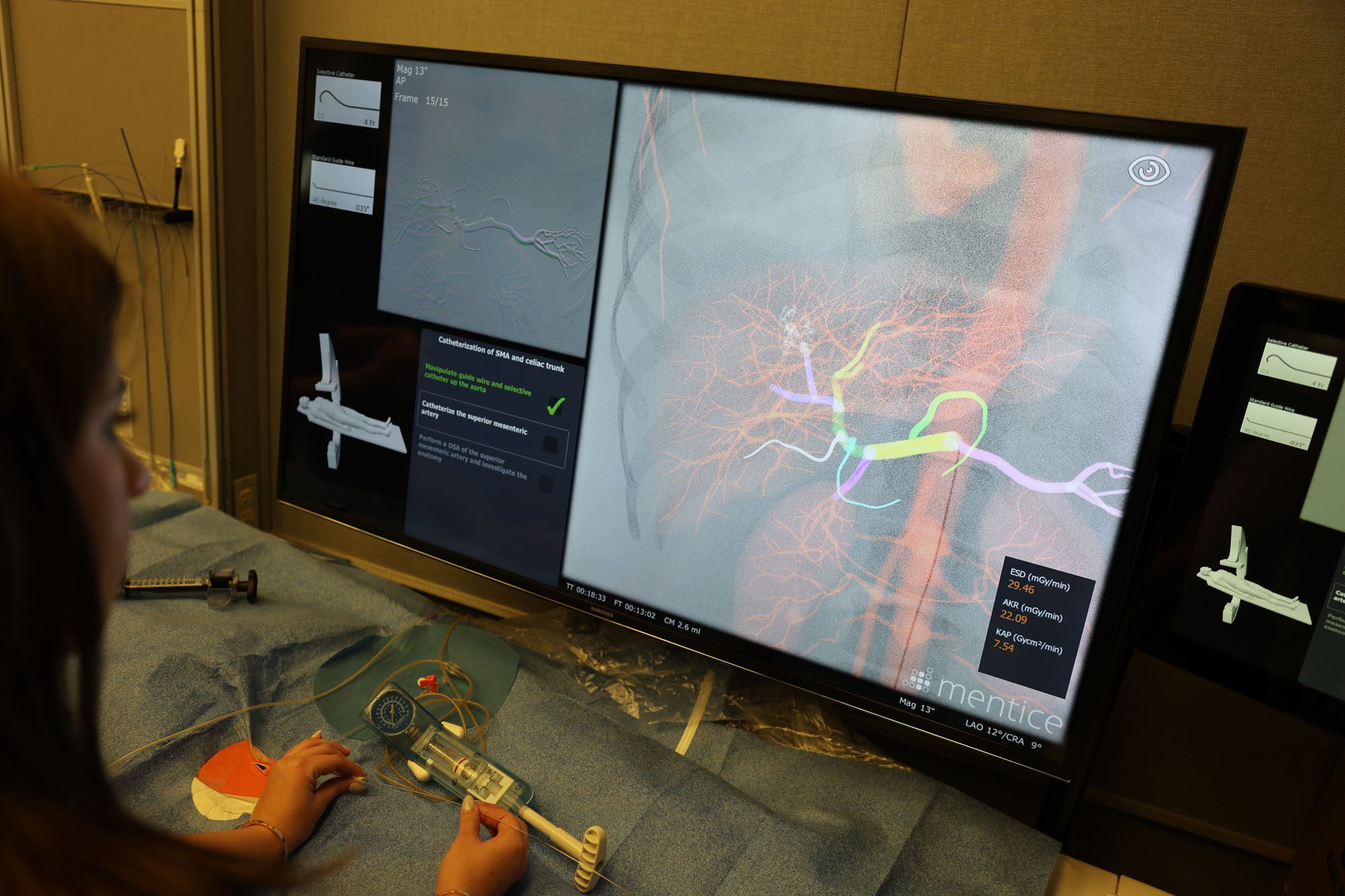 An undergraduate student looks at vascular imagery on a computer screen at Weill Cornell Medicine.