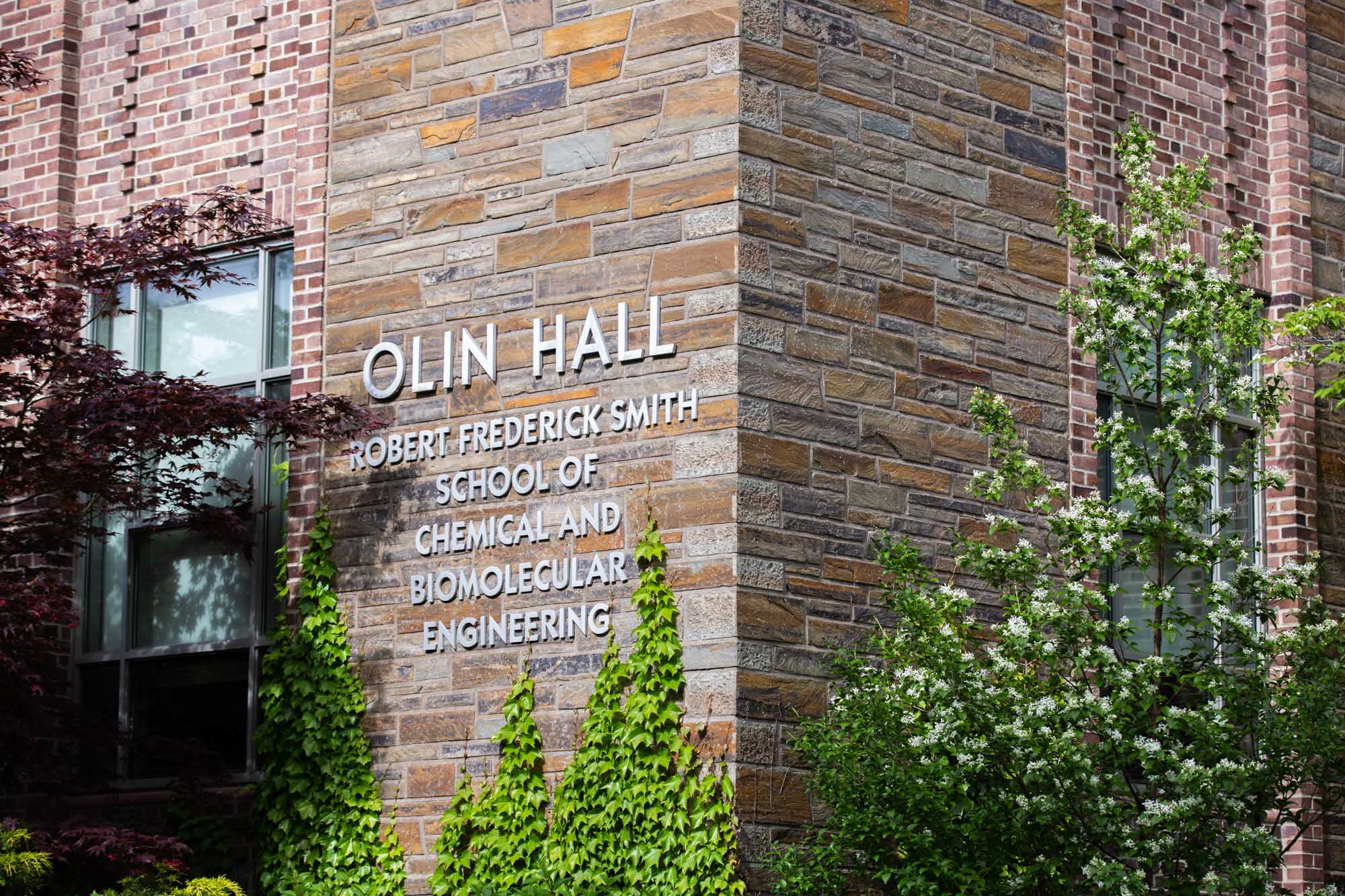 Exterior of Olin Hall in the summer with sign reading Olin Hall Robert Frederick Smith School of Chemical and Biomolecular Engineering.
