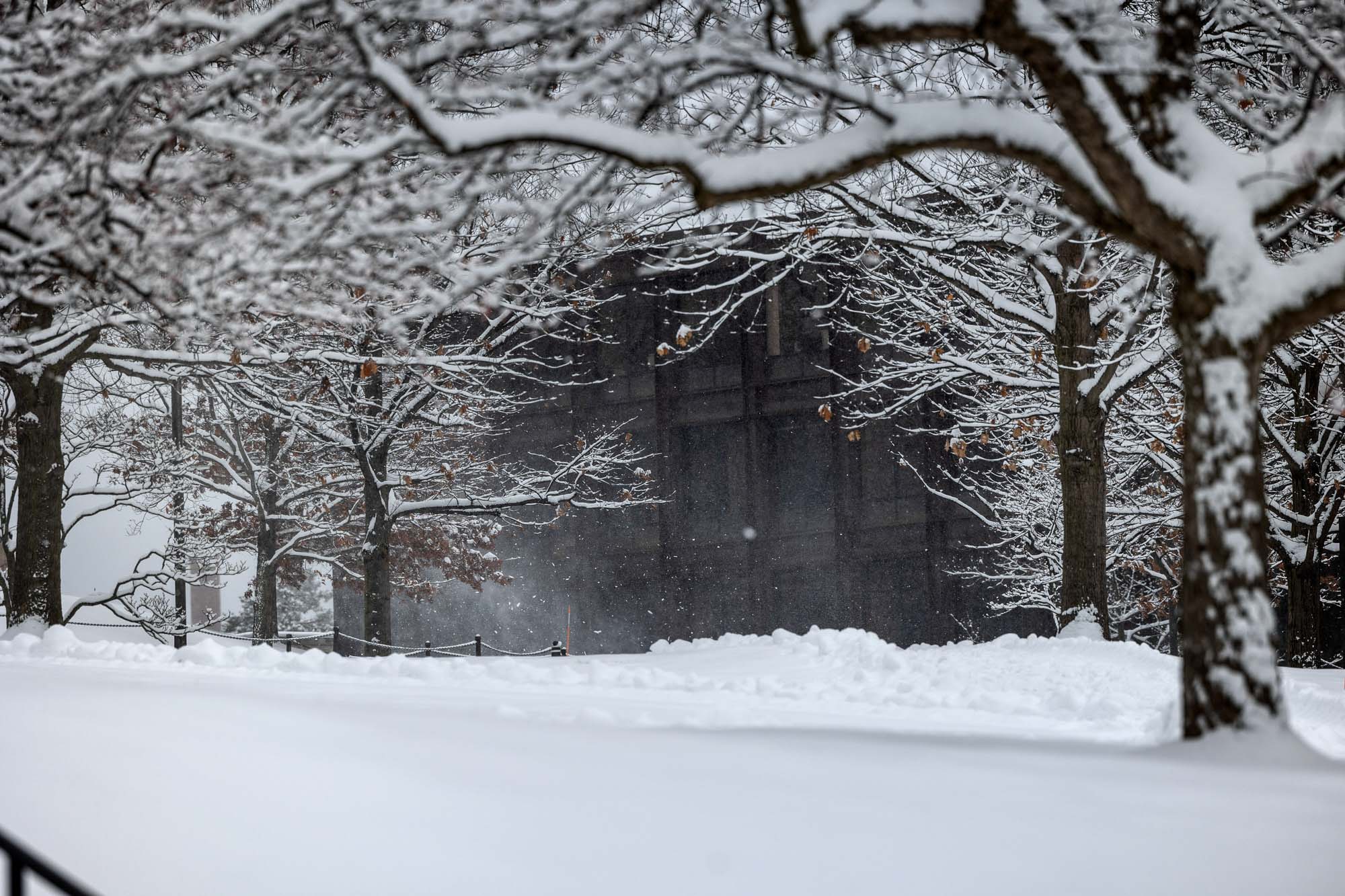 A winter view of Olin Hall with snow covered trees and snow on the ground.