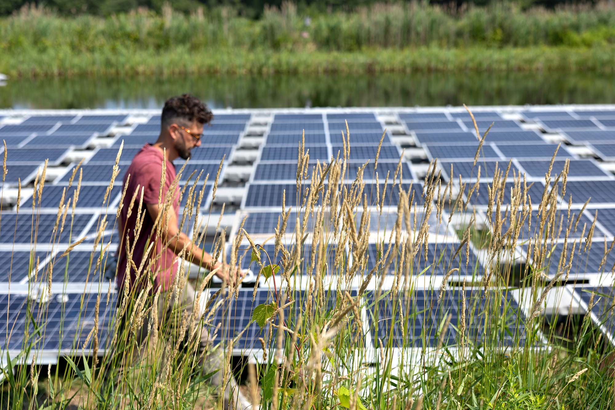 A person walks through a field with solar panels.