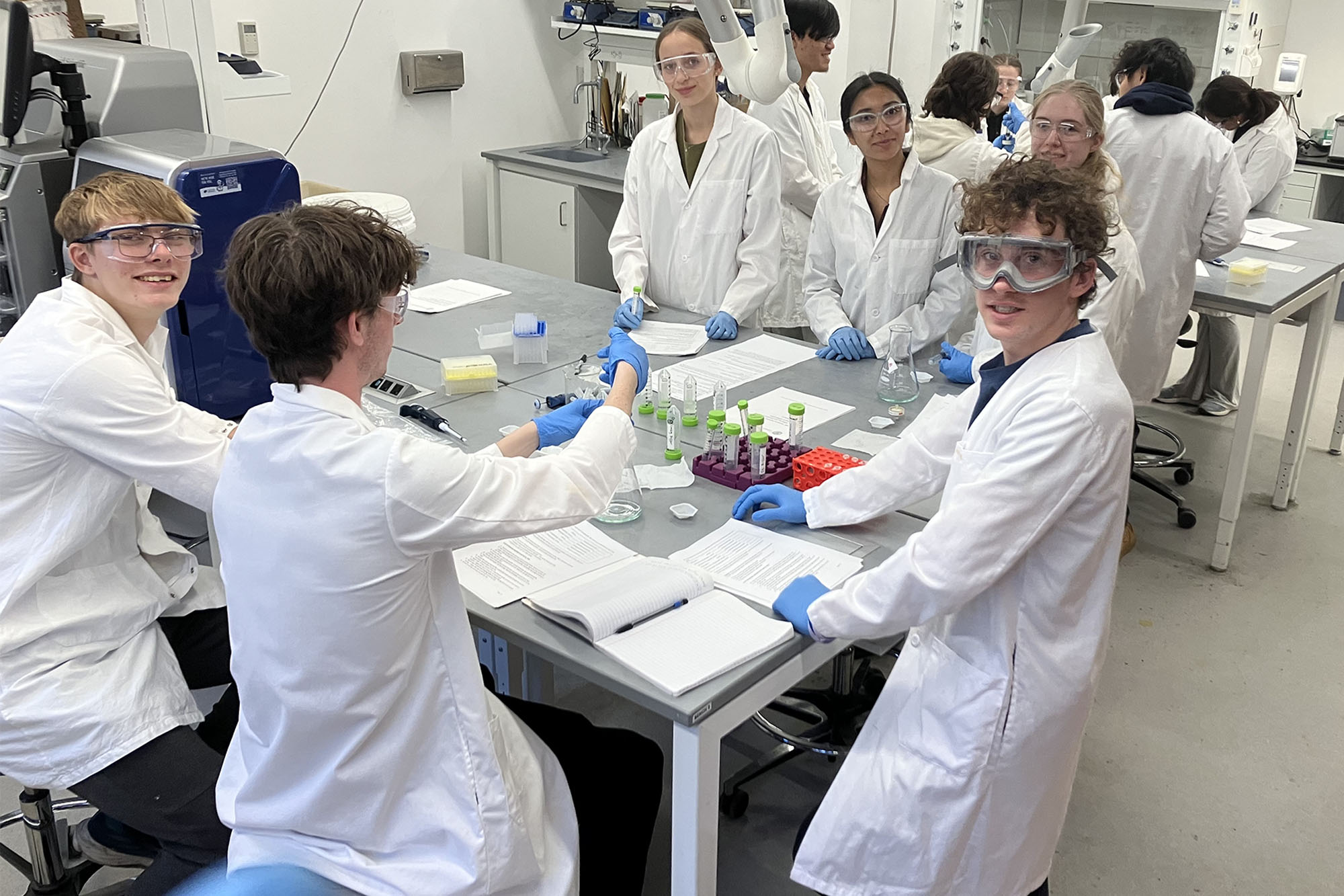 Eda Celik's fall 2025 biotechnology class works together in a lab in Olin Hall.
