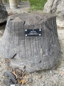 Dark gray tree trunk