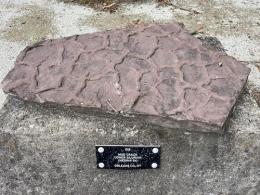 Dark reddish and flat