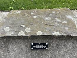 Flat gray slab with lichen