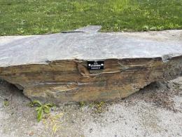 Brown slab with horizontal lines