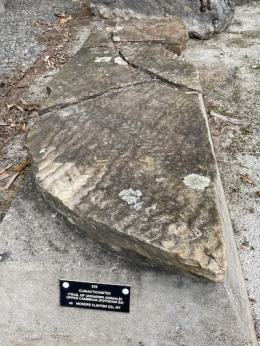 Dark gray with lines running through