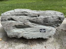 Gray with horizontal striations