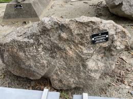 Speckled brown and gray