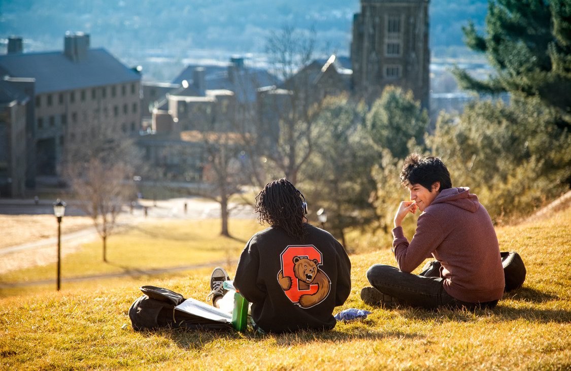 Students relaxing on Libe Slope in the Summer