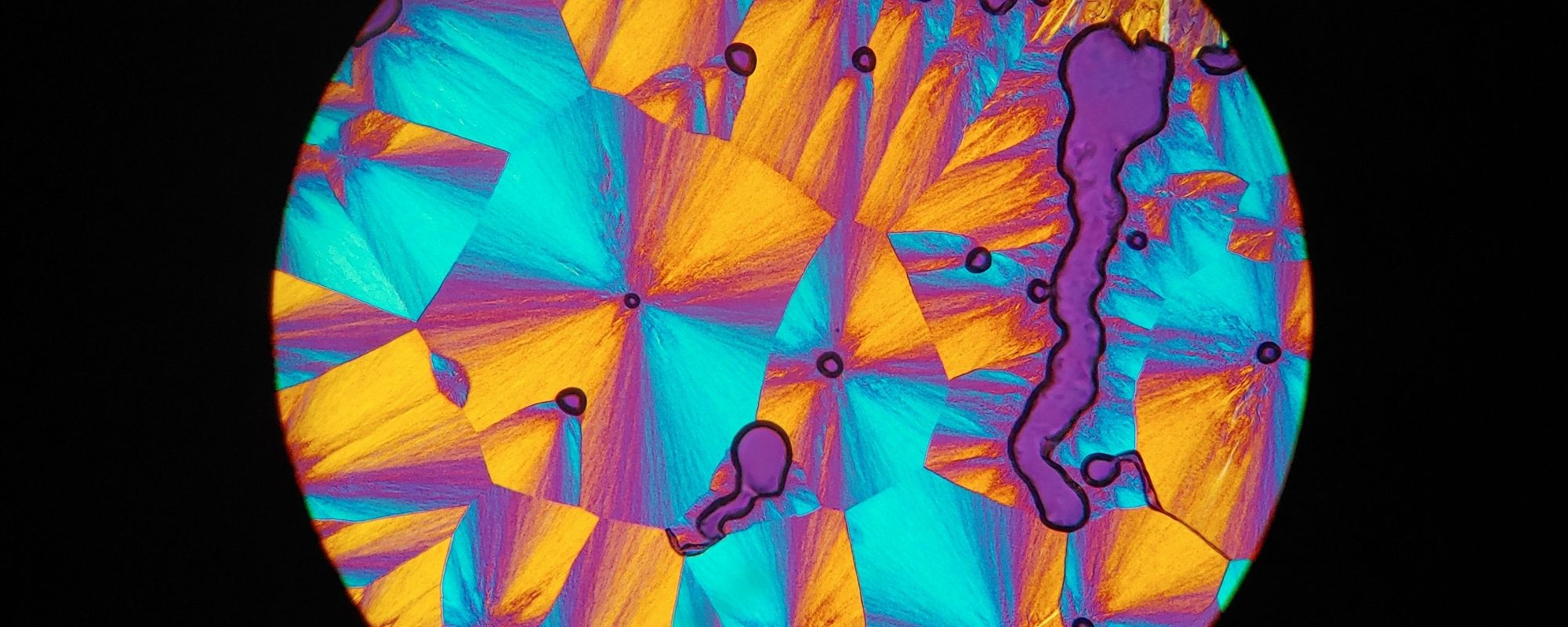 Crosspolarized microscope image of cholesterol acetate crystals with added quarter waveplate