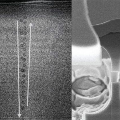 Hassani Group research image from EM3 lab
