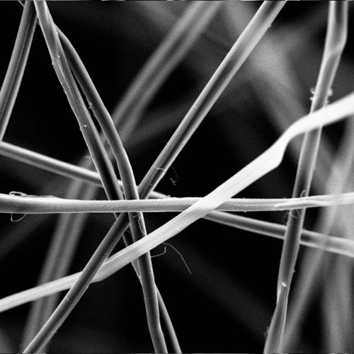 Silk Fibroin research image from Lara Estroff's lab