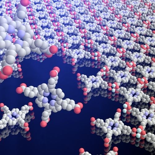 Yu Zhong Group Research image