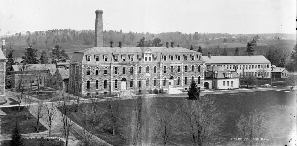 Sibley College, photo from c. 1900 with small trees and open quad