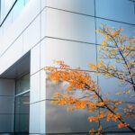 Sleek corner of Duffield Hall