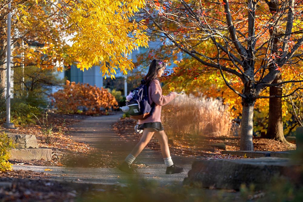 Student walks across Cornell Engineering quad amongst fall leaf colors.