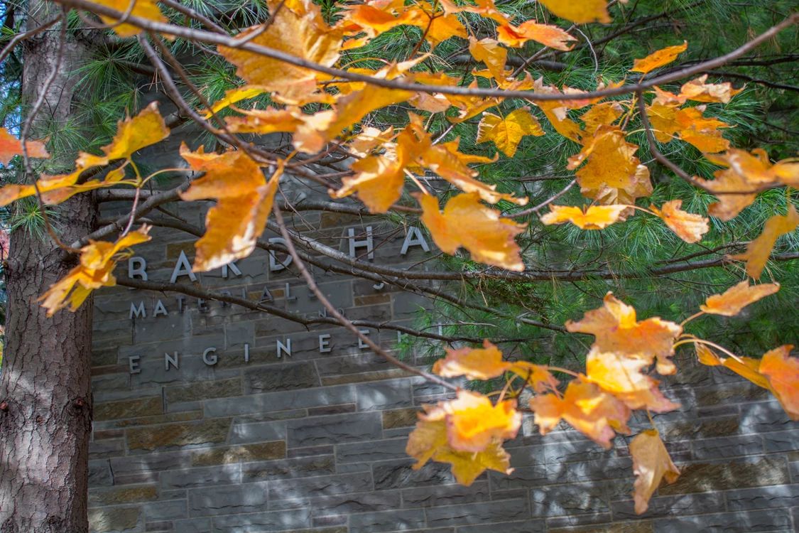 Bard Hall with golden fall leafy trees