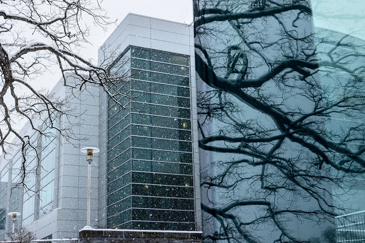 Duffield Hall on a snowy day