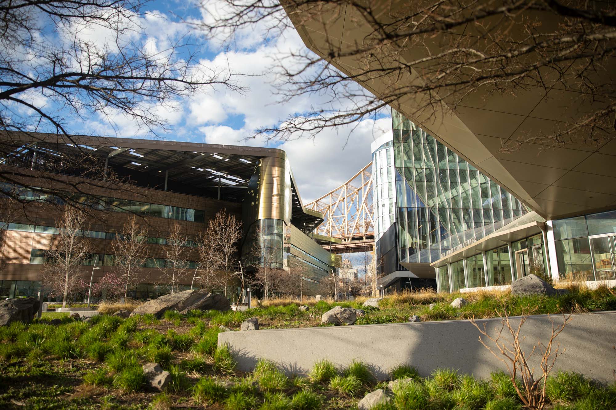 Cornell Tech Campus