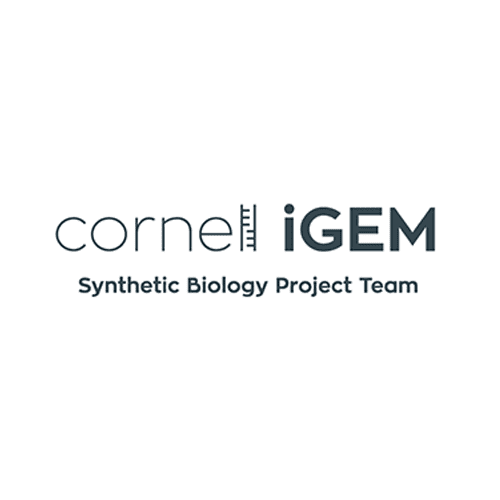 Cornell iGem