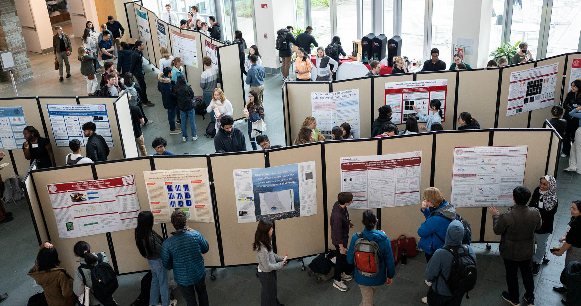 Undergraduate research poster session in Duffield Atrium