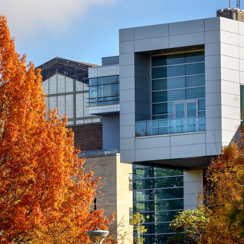 Large glass windows of Duffield Hall with fall leaves in foreground