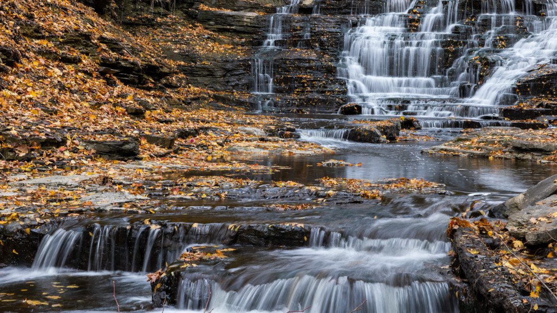 Water cascades through the leaves in Cascadilla Creek.