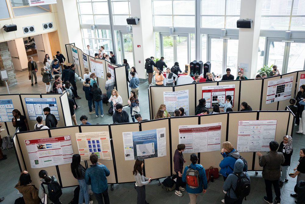 Three sections of posters on presentation boards surrounded by mingling students