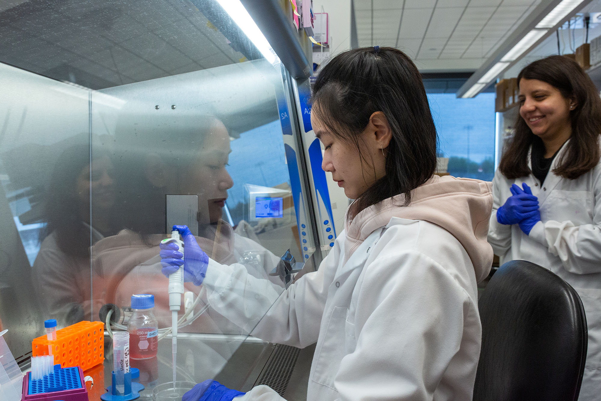 Duffield undergraduate student working on research