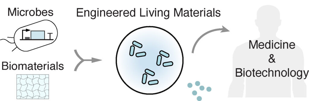 Illustration depicts combining microbial genetic engineering with materials design to yield a new living material that can sense and respond to its surroundings, with applications spanning medicine and biotechnology.